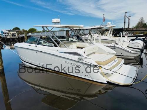 Cobalt 302  technische daten 